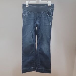 A Pea in the Pod Navy Flare Maternity Jeans